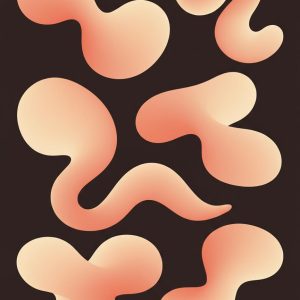 Gradient Mesh Collection